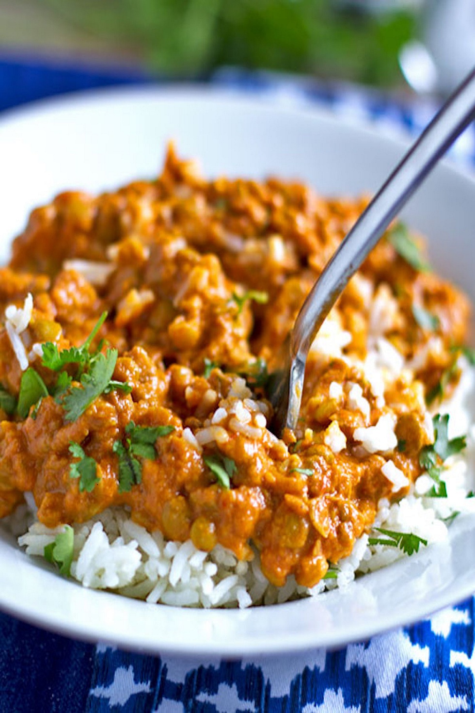 Spicy Curried Lentils